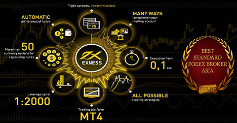 Top Forex Brokers